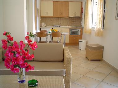 Holiday Apartment in Kassiopi (Kerkyra) or holiday homes and vacation rentals