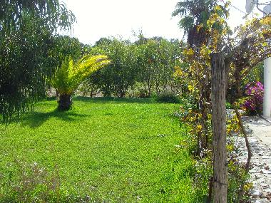 Holiday Apartment in Porto Covo (Alentejo Litoral) or holiday homes and vacation rentals
