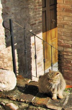 Holiday House in Sarnano (Macerata) or holiday homes and vacation rentals