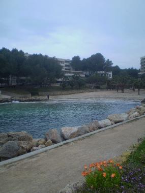 Holiday Apartment in calvia (Mallorca) or holiday homes and vacation rentals