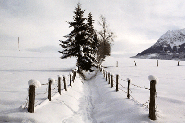 Holiday Apartment in Abtenau (Salzburg und Umgebung) or holiday homes and vacation rentals