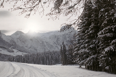 Holiday Apartment in Abtenau (Salzburg und Umgebung) or holiday homes and vacation rentals