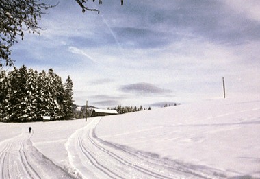 Holiday Apartment in Abtenau (Salzburg und Umgebung) or holiday homes and vacation rentals