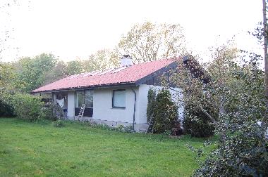Garden and the house