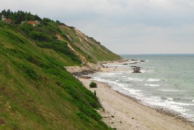 The beach 