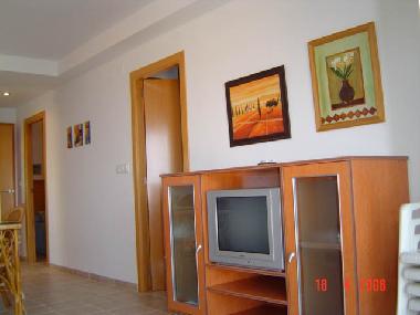 Holiday Apartment in OLIVA (Valencia / Valncia) or holiday homes and vacation rentals
