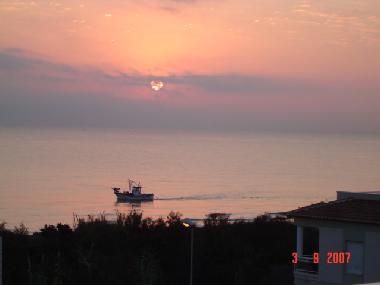 Holiday Apartment in OLIVA (Valencia / Valncia) or holiday homes and vacation rentals