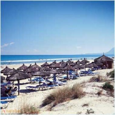 Holiday Apartment in OLIVA (Valencia / Valncia) or holiday homes and vacation rentals