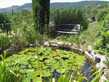 Holiday House in Saint Privat (H�rault) or holiday homes and vacation rentals