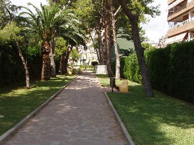 Holiday Apartment in benicasim (Castelln / Castell) or holiday homes and vacation rentals