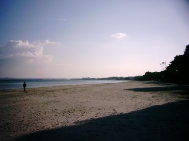 Holiday Apartment in Alcudia (Mallorca) or holiday homes and vacation rentals