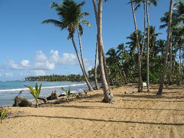 Holiday House in LAS TERRENAS (Samana) or holiday homes and vacation rentals