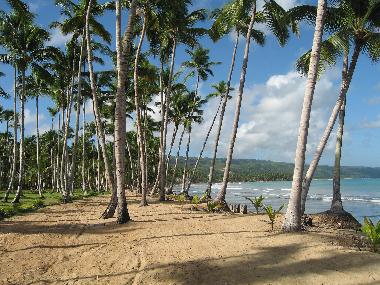 Holiday House in LAS TERRENAS (Samana) or holiday homes and vacation rentals