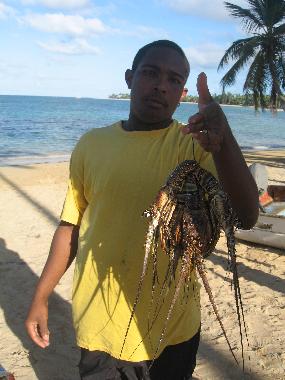 Holiday House in LAS TERRENAS (Samana) or holiday homes and vacation rentals