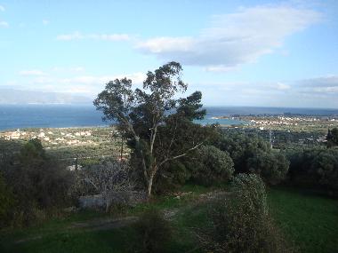 Holiday House in selianitika (Korinthia) or holiday homes and vacation rentals