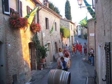 Holiday Apartment in Montepulciano (Siena) (Siena) or holiday homes and vacation rentals