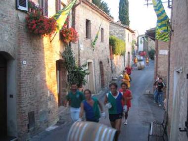 Holiday Apartment in Montepulciano (Siena) (Siena) or holiday homes and vacation rentals