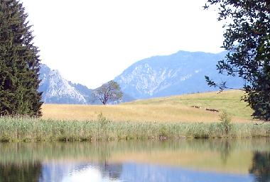 Holiday Apartment in Rth (Linz-Wels) or holiday homes and vacation rentals