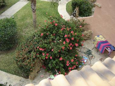 View from upstairs terrace to garden terrace