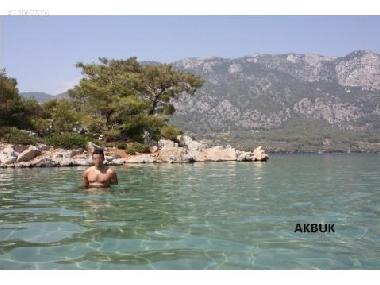 Bed and Breakfast in Milas (Mugla) or holiday homes and vacation rentals