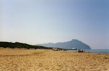 Beach Close the Property