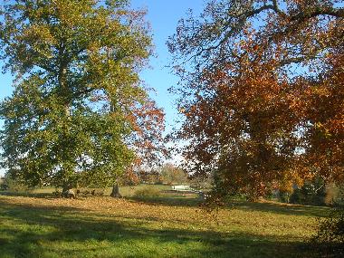 Holiday Apartment in Ronsenac (Charente) or holiday homes and vacation rentals