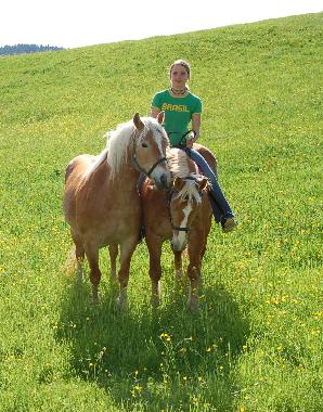 Holiday House in Lechbruck am See (Bavarian Swabia) or holiday homes and vacation rentals