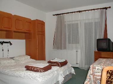 Holiday Apartment in Zalakaros (Zala) or holiday homes and vacation rentals