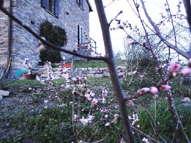 Holiday Apartment in Urbania (Pesaro e Urbino) or holiday homes and vacation rentals