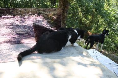 Holiday Apartment in Urbania (Pesaro e Urbino) or holiday homes and vacation rentals