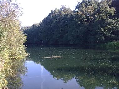 Holiday House in Lbben (Spreewald) (Dahme-Spreewald) or holiday homes and vacation rentals