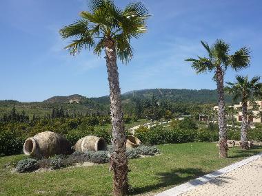 Holiday Apartment in BENAHAVIS (Mlaga) or holiday homes and vacation rentals