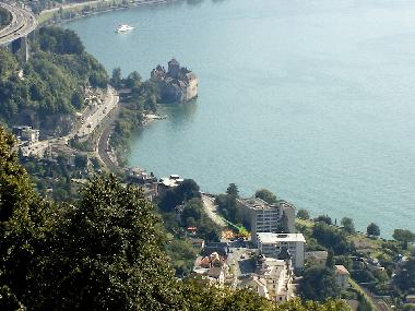 Location (green arrow)