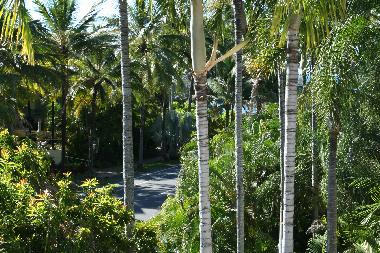 North facing view from lge balcony 100 mtr to beach