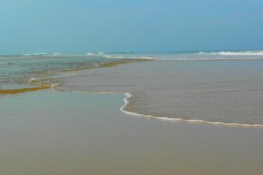 Holiday House in Cap-Ferret (Gironde) or holiday homes and vacation rentals