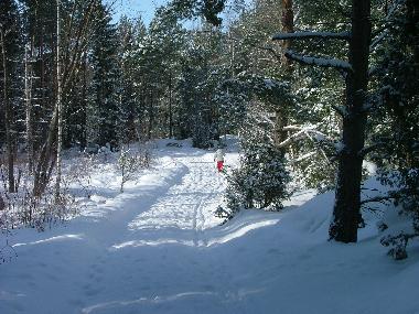 Skiing on our road to the house.