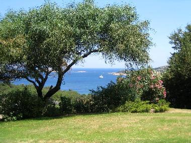 Holiday House in Porto Cervo (Sassari) or holiday homes and vacation rentals