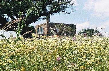 Holiday House in Kea (Kyklades) or holiday homes and vacation rentals