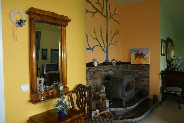 Fireplace in the living room