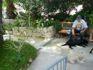 Holiday House in Stari Grad (Splitsko-Dalmatinska) or holiday homes and vacation rentals