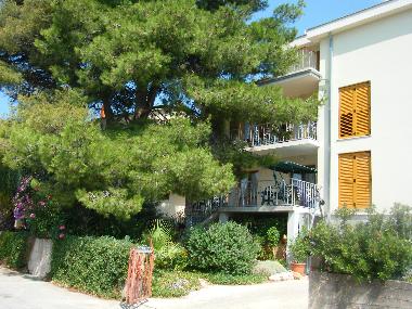 Holiday House in Stari Grad (Splitsko-Dalmatinska) or holiday homes and vacation rentals