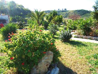 Holiday House in Hanioti (Chalkidiki) or holiday homes and vacation rentals