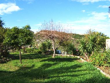 Holiday House in Hanioti (Chalkidiki) or holiday homes and vacation rentals