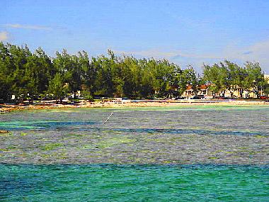 view across the bay 