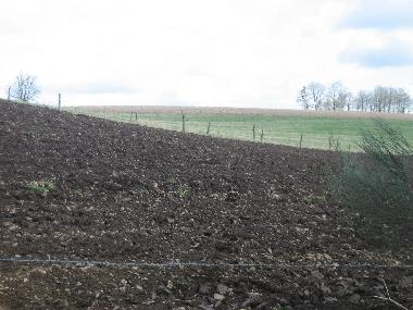 Holiday House in Engreux (Wallonia) or holiday homes and vacation rentals