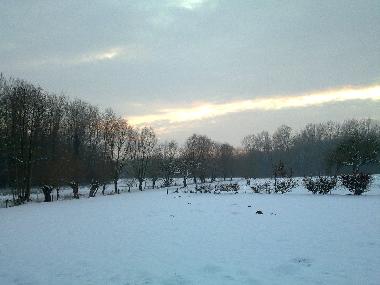 winter panorama in front