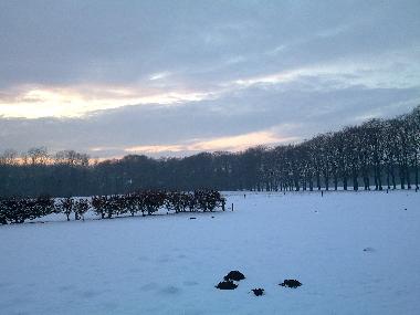 winter panorama in front