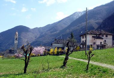 Holiday House in Maggia/Moghegno (Locarno) or holiday homes and vacation rentals