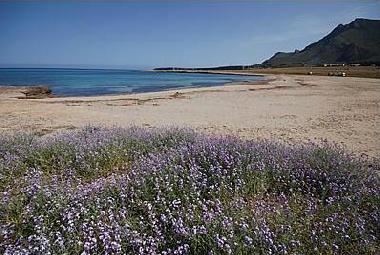 Holiday House in san vito lo capo (Trapani) or holiday homes and vacation rentals
