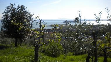 Holiday House in Passignano sul Trasimeno (Perugia) or holiday homes and vacation rentals